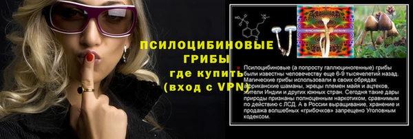 ALPHA PVP Новодвинск