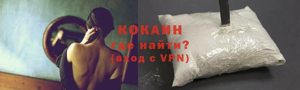 mix Новозыбков